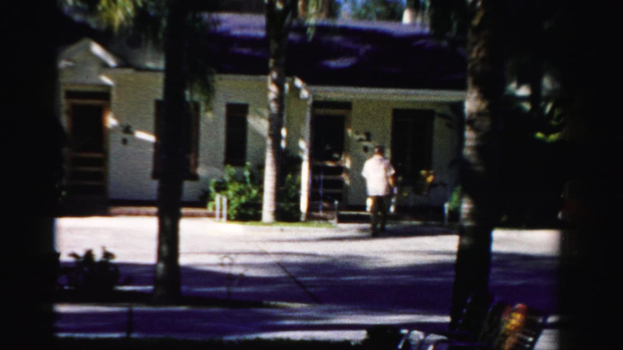 Person walking across a sunlit driveway toward a house entrance framed by palm trees.