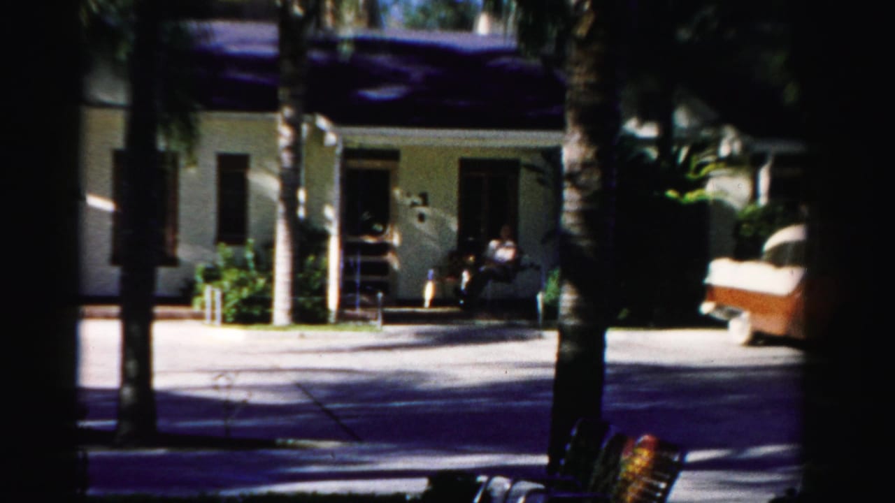 Two-tone sedan near a palm-lined driveway outside a single-story house.