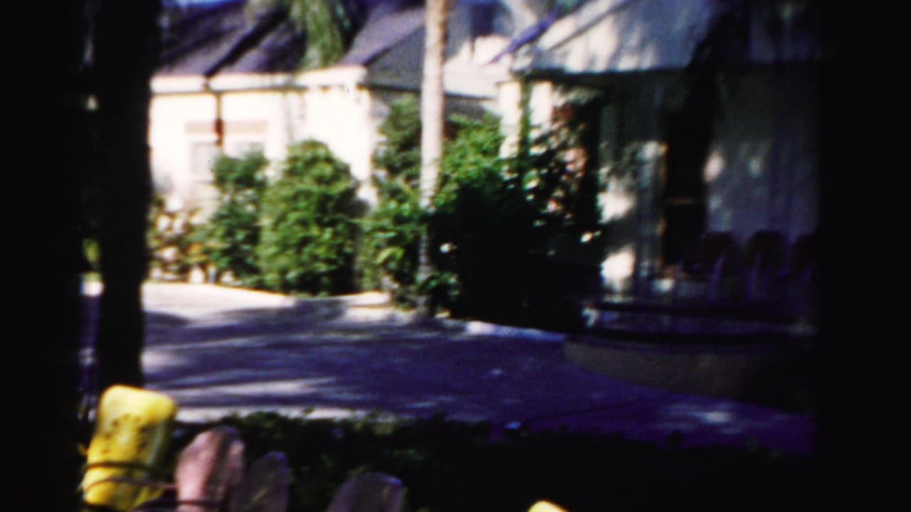 Shaded view of a white residential building, shrubs, palms, and a paved path.