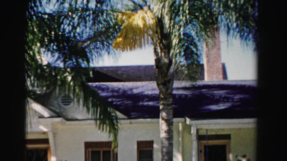 1955 Dade County home-movie frame centered on palm fronds, a tall trunk, roofline, chimney, and part of a white stucco house.