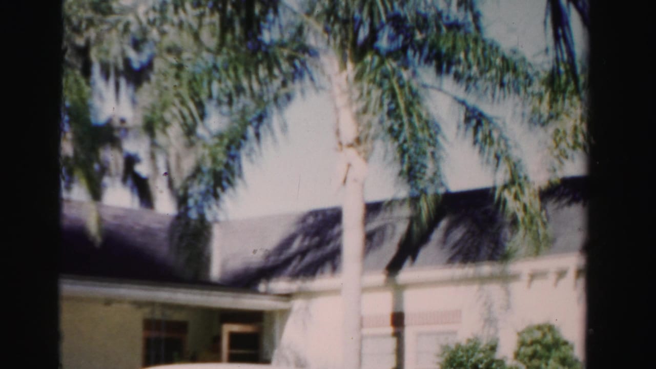 1955 Dade County home-movie frame showing palm trees and a light-colored house exterior in strong sunlight.