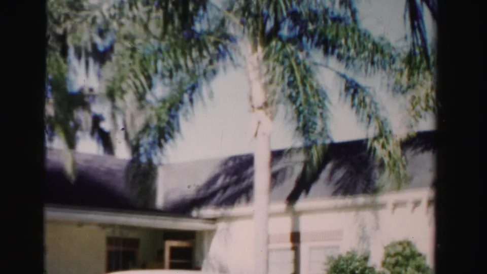 1955 Dade County home-movie frame showing palm trees and a light-colored house exterior in strong sunlight.