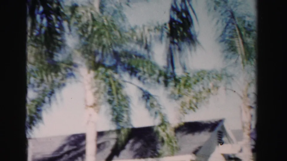 1955 Florida 8mm frame with palm trunks, fronds, and a partially seen light-colored house below.