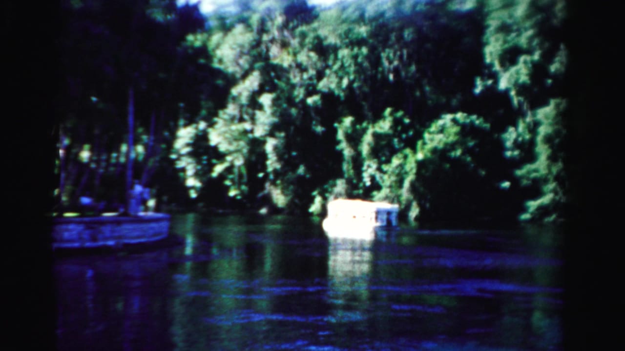 1955 Dade County home-movie frame showing a small white boat moving along dark water with heavy green shoreline trees behind it.
