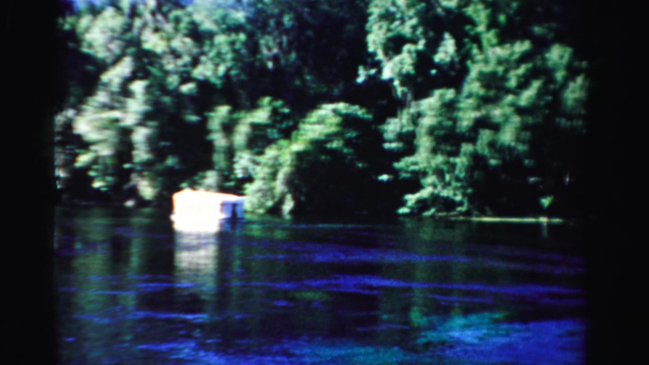 Small white boat crossing water in front of dense green trees.