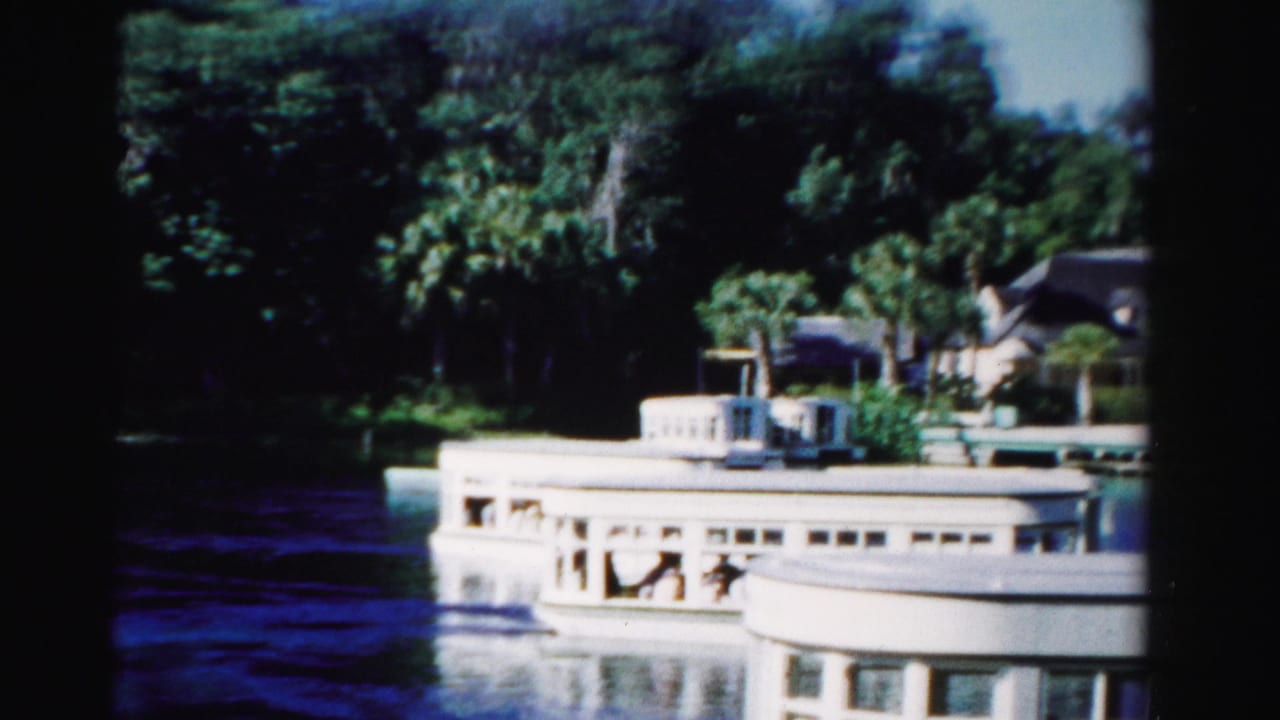 White passenger boat moving on water beside a palm-lined shore.
