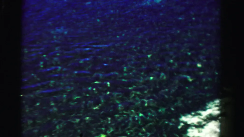 Grainy 8mm frame of blue-green coastal water with a small bright area of sand at the edge.