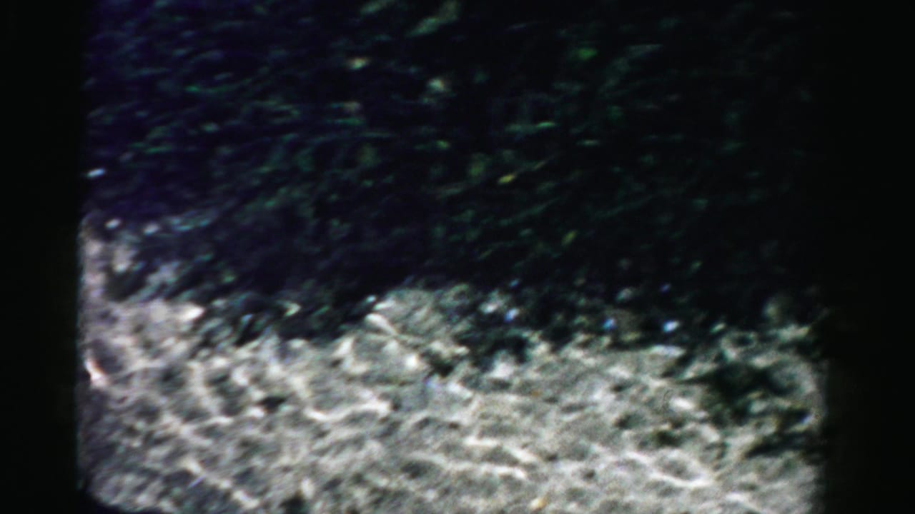 Soft 8mm frame showing bright rippled water below a dark mass of shoreline vegetation or shadow.