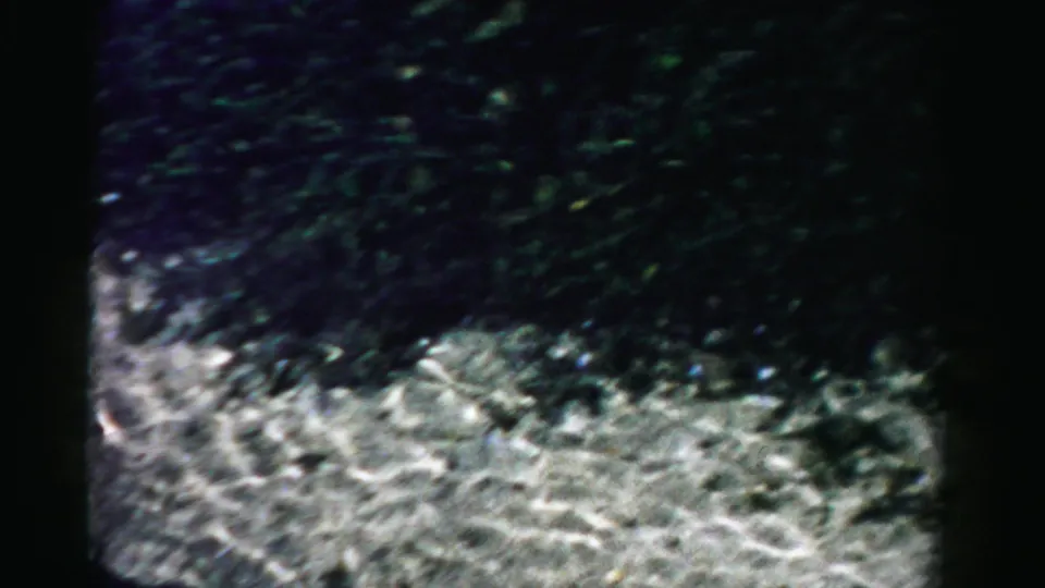 Soft 8mm frame showing bright rippled water below a dark mass of shoreline vegetation or shadow.