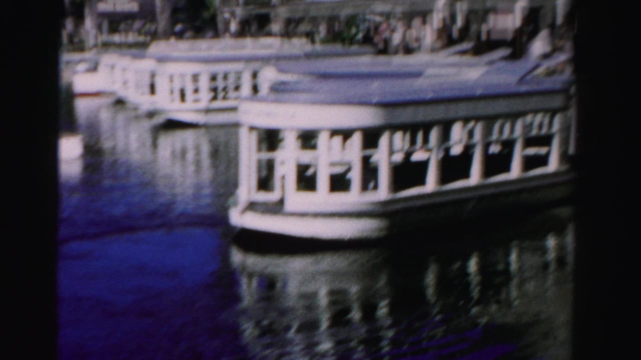 White rounded passenger boats on dark water with waterfront structures behind them.