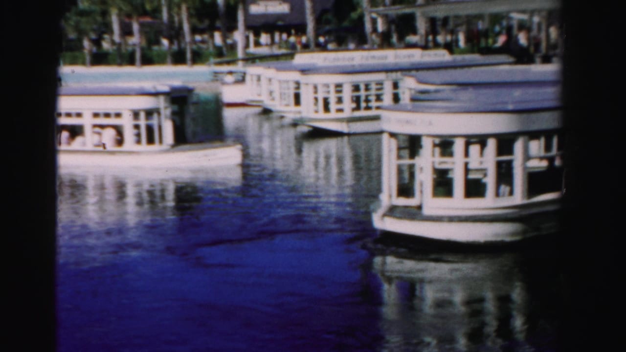 Passenger boat near a waterfront with palm trees and water reflections.
