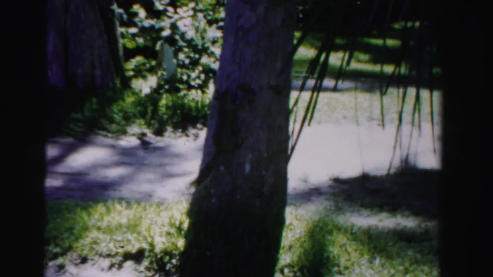 A squirrel clings to a tree trunk in a 1955 Dade County yard, with grass and a sidewalk in the background.