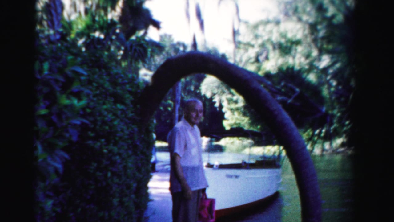 Man standing beside a curved tree limb near a docked white boat and waterway.
