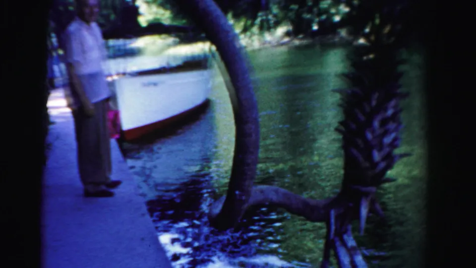 1955 Dade County frame with a partial view of the man beside the curved tree limb, docked white boat, calm water, and foreground palm-like planting.