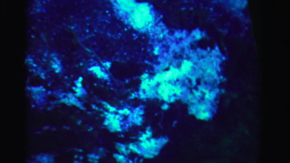 1955 Dade County 8mm still with large blue-green reflected forms over a dark water-like surface.