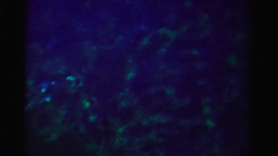 Dark 1955 Florida 8mm frame with subdued blue-green water-like reflections and soft grain.