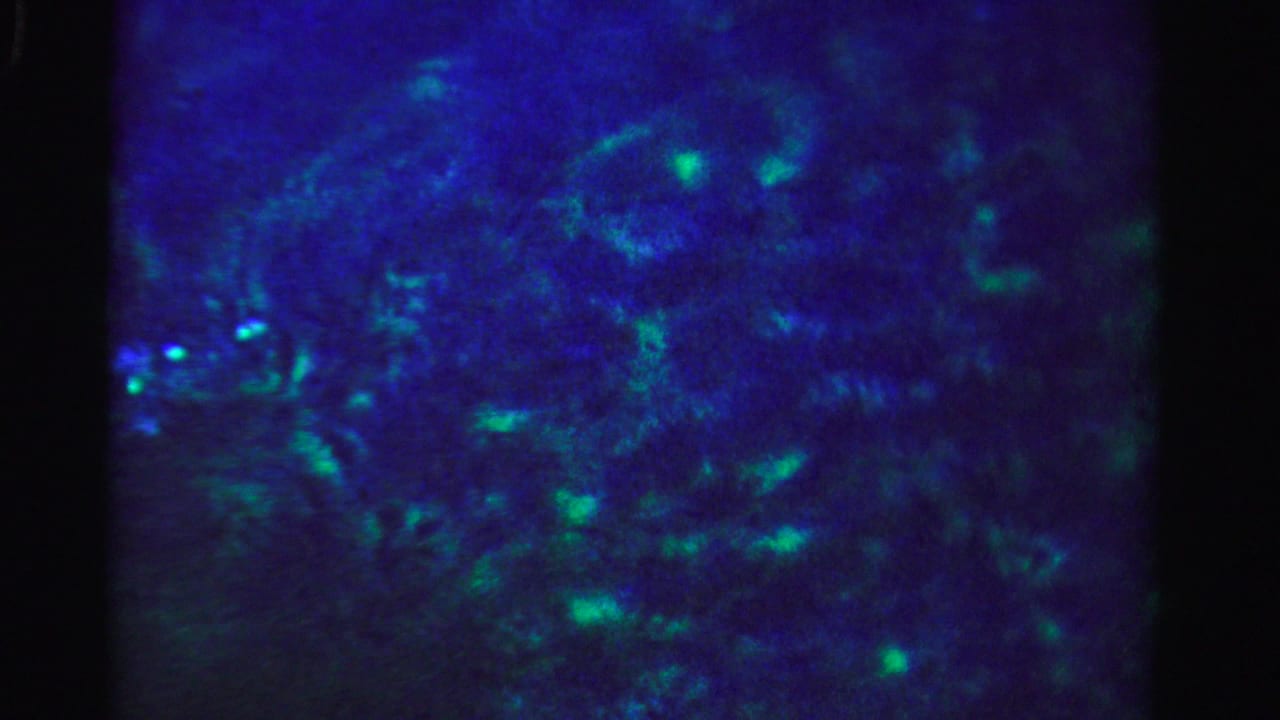 Blue-green rippling water with soft highlights and dark film edges.