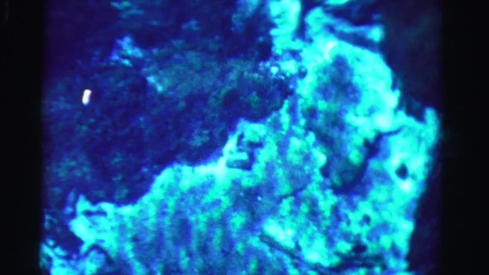 1955 Dade County 8mm frame with a brighter cyan-green water reflection spreading across darker blue areas.