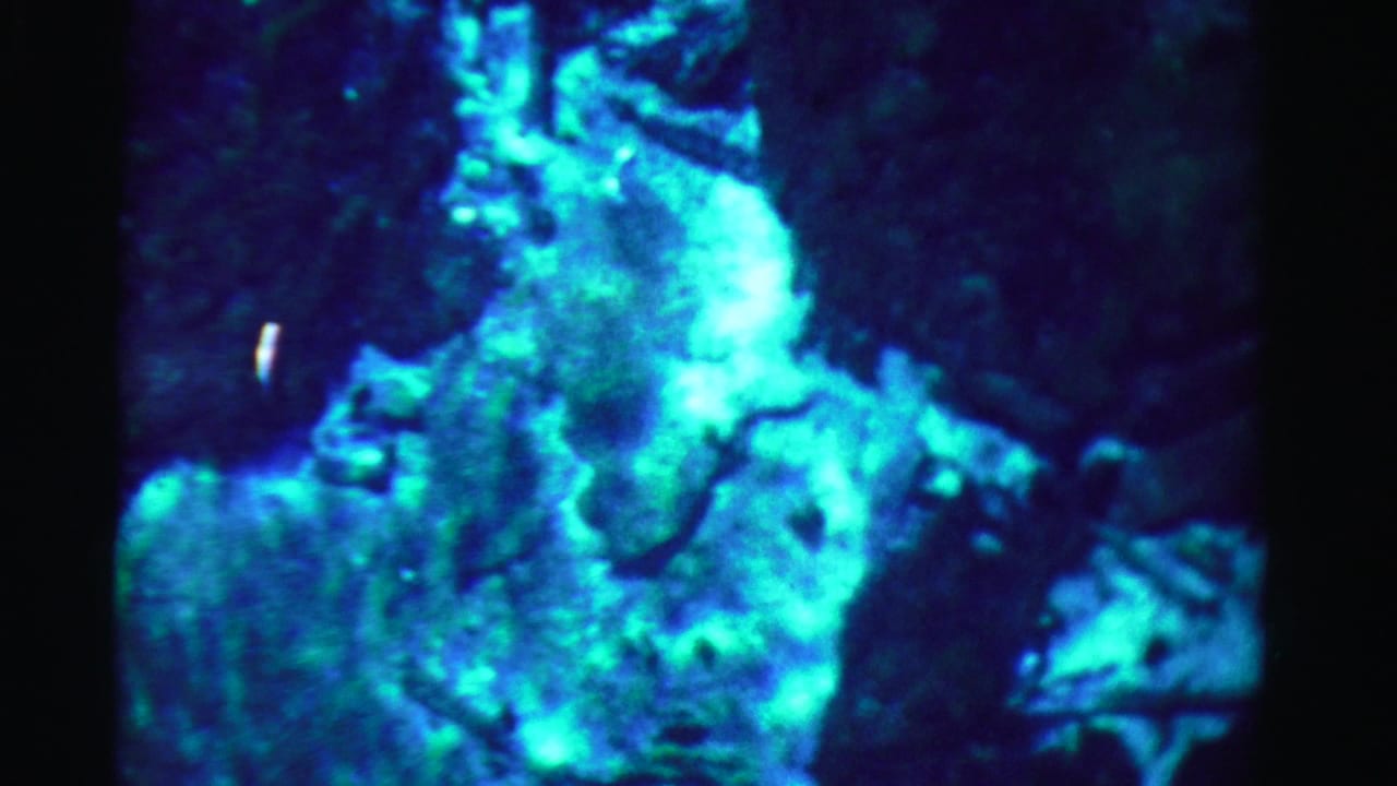 1955 Dade County 8mm frame showing luminous blue-green underwater formations against a dark aquatic background.