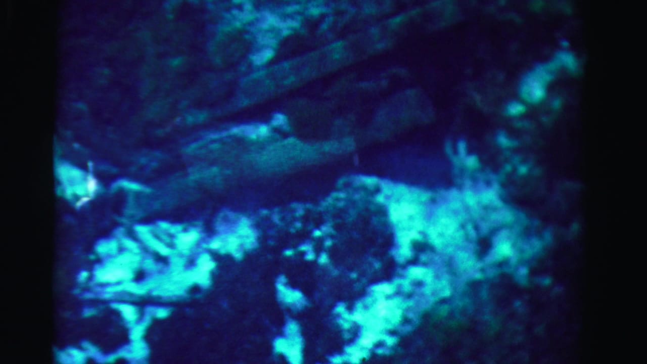 1955 Dade County frame with turquoise rock or coral-like shapes emerging from a dark underwater setting.