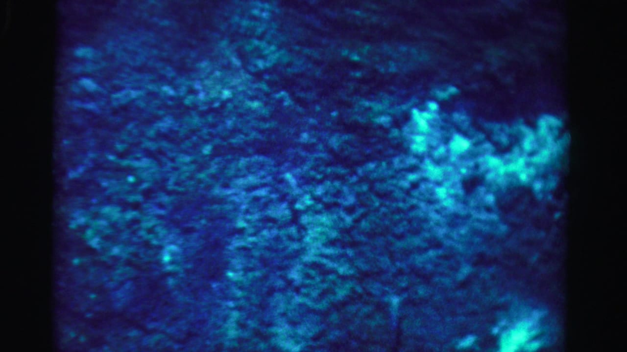 Soft blue underwater surface with a small bright green reflection near the right side.