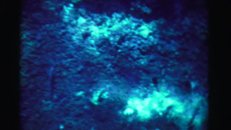 1955 Dade County 8mm frame showing dark blue-green underwater reef or rock texture with scattered bright reflections.