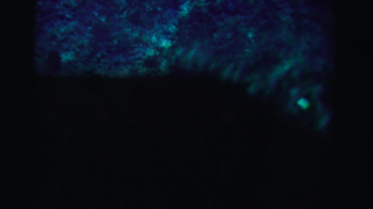 Dark blue-green water texture with soft turquoise light near the upper edge.