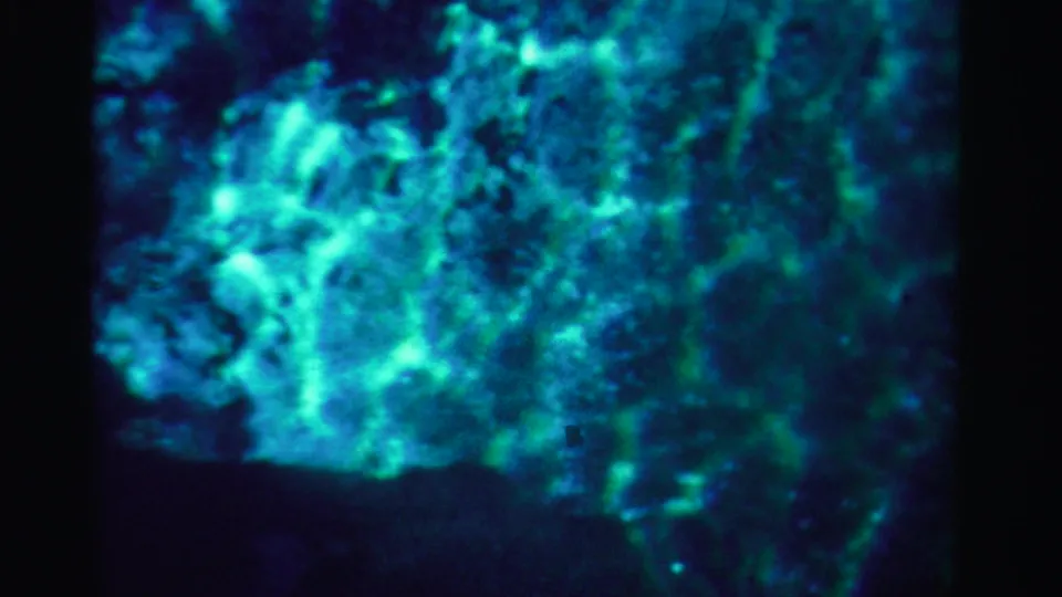 1955 Dade County 8mm frame showing bright blue-green abstract water texture above a darker lower band.