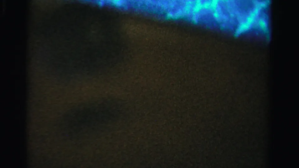 1955 Dade County 8mm frame with a dark foreground area and blue-green water-like light along the upper edge.