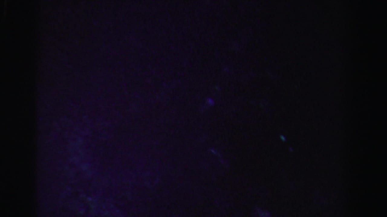 Dark water surface with faint blue and purple glowing specks.