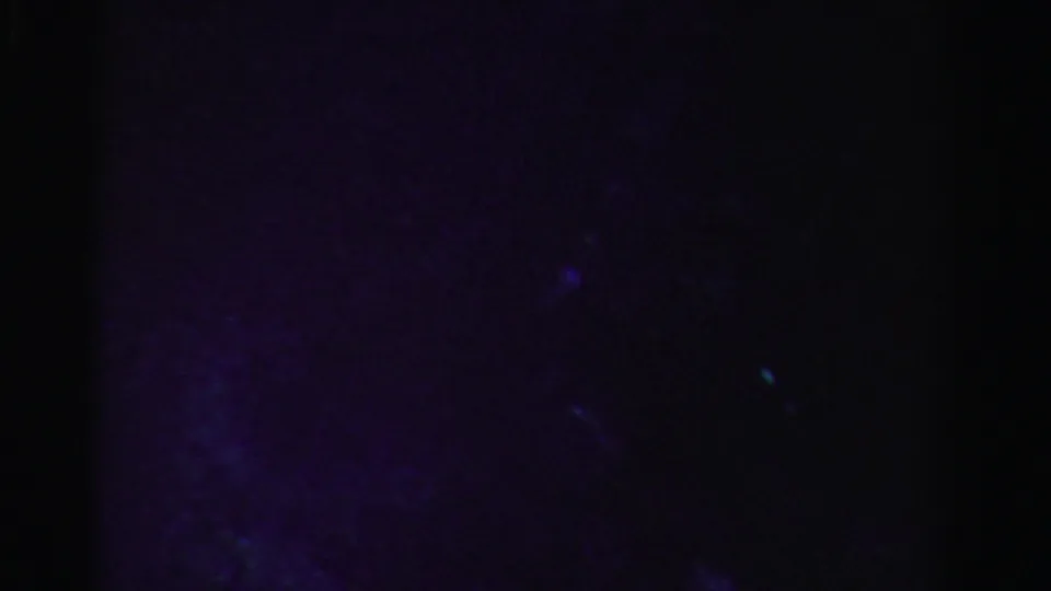 1955 Dade County 8mm frame showing mostly dark water with subtle blue-purple luminous particles and heavy grain.