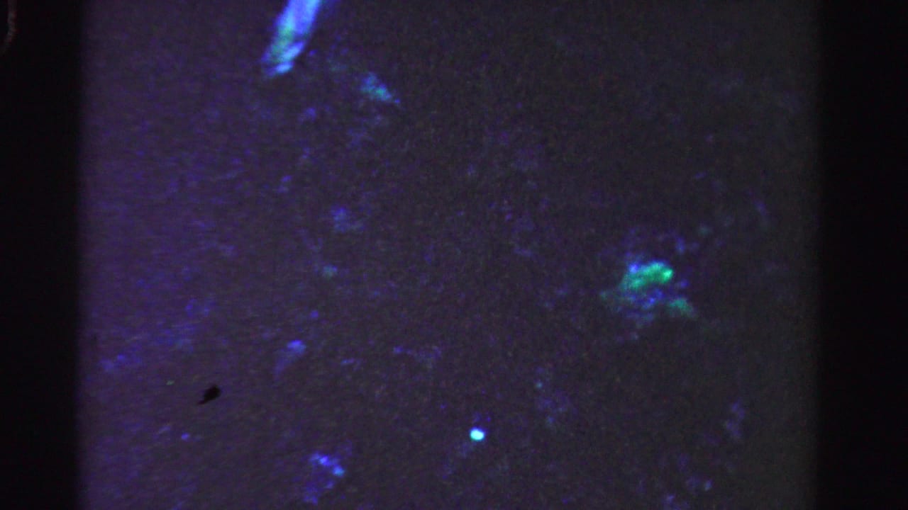 Dim water with scattered blue and green glowing particles near the surface.