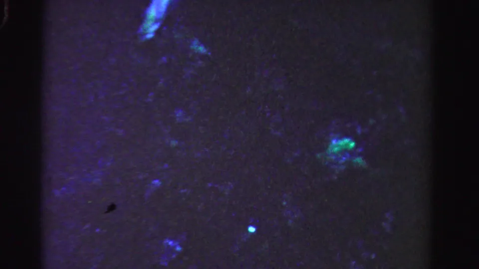 1955 Dade County 8mm frame with scattered blue-green light points drifting across a dark water surface.