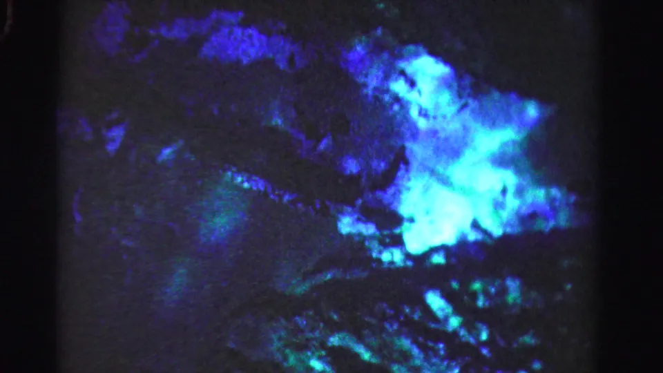 1955 Dade County 8mm frame showing a bright blue-green luminous patch over dark, rippling water.
