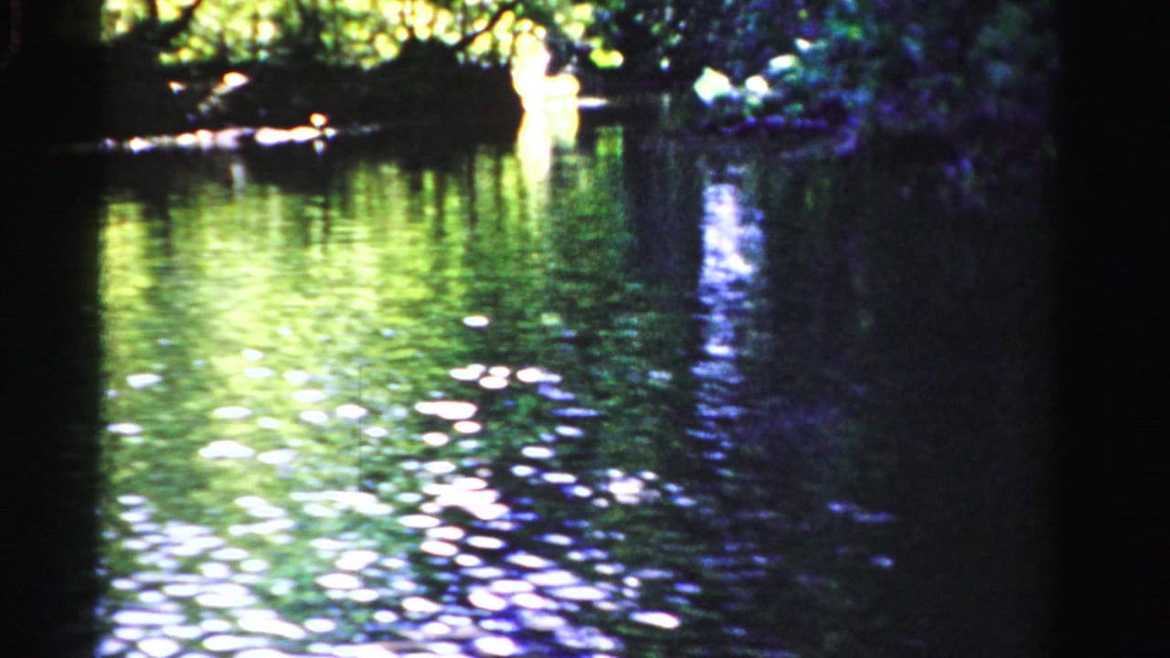 Rippling green water beneath dense trees in a shaded swamp channel.