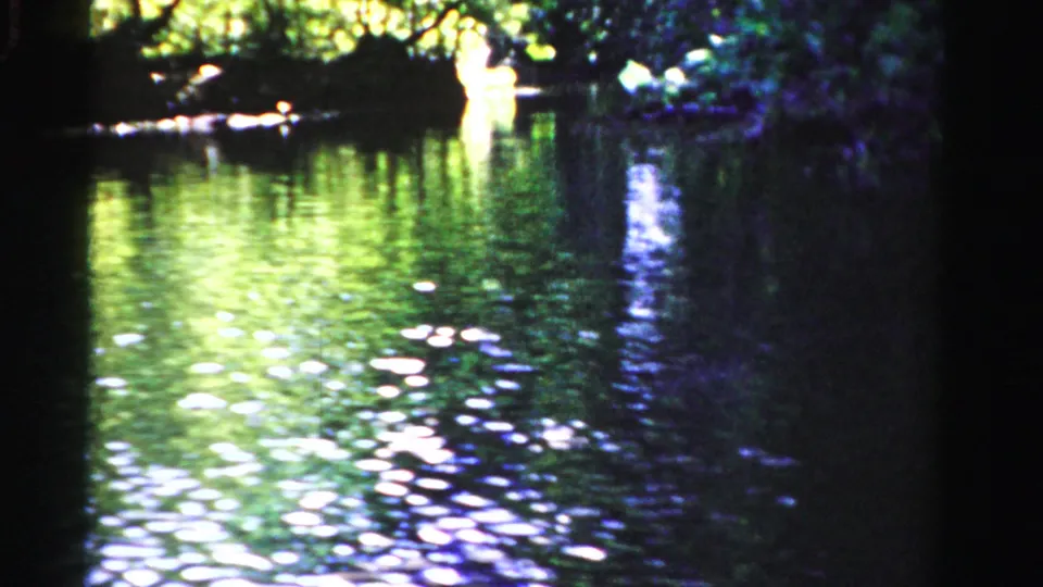 1955 Dade County, Florida home-movie frame showing rippling water, bright reflections, and dense overhanging vegetation.