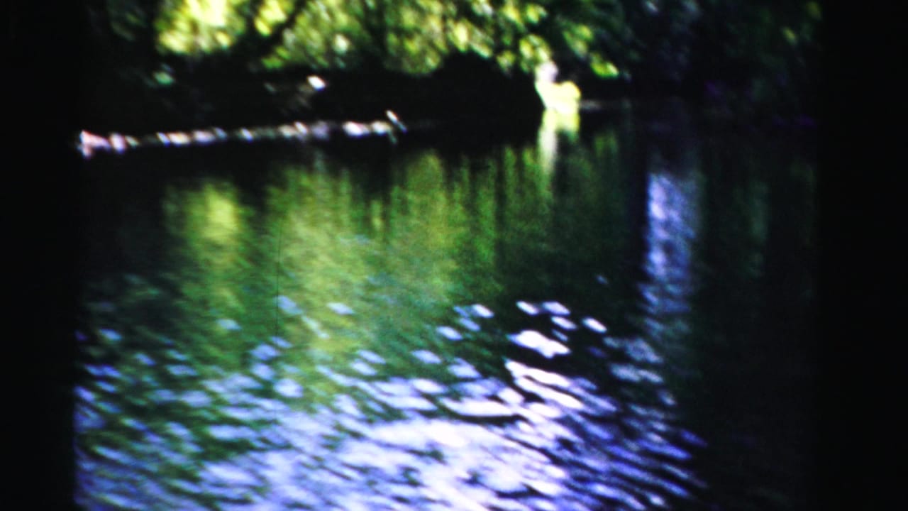 Tree-lined waterway with bright reflections and dark shaded banks.