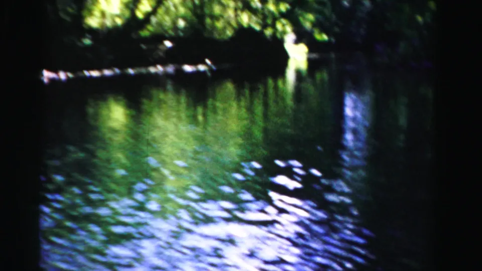 1955 Dade County, Florida frame of a narrow swamp waterway with glossy ripples, shadowed banks, and dense greenery.