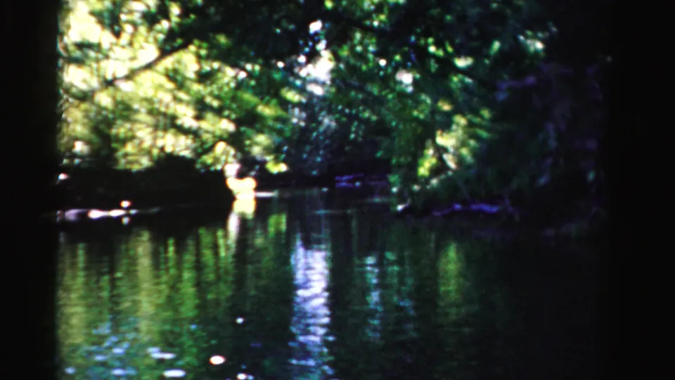 1955 Dade County, Florida home-movie frame with calm swamp water, heavy tree cover, and sunlit foliage along the channel edge.