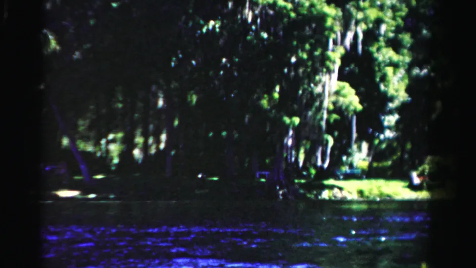 1955 Dade County, Florida frame showing dark water, tall trees, hanging moss-like growth, and a sunlit grassy shoreline.