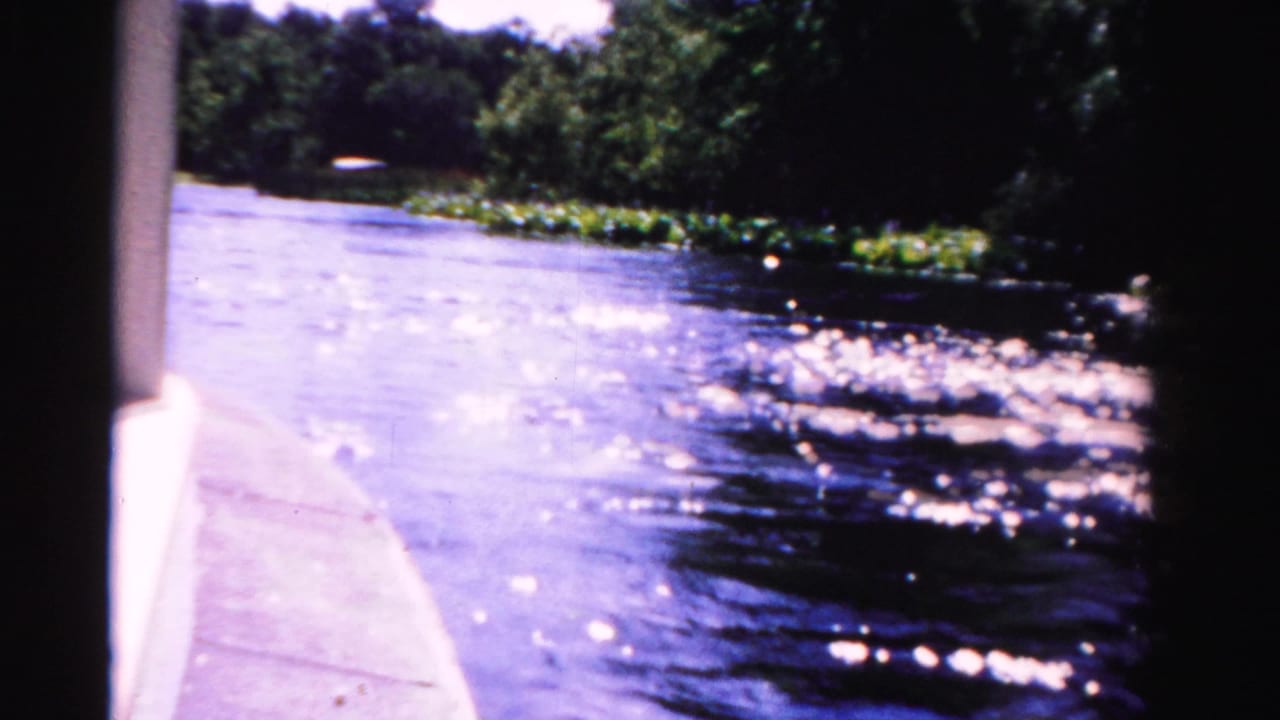 Boat edge beside sunlit river water with trees along the bank.