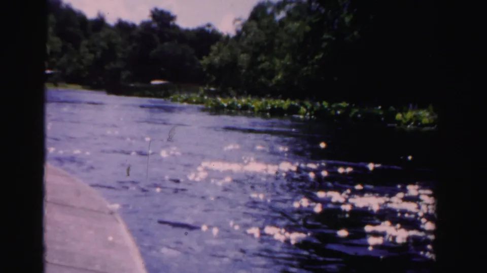 1950s 8mm boat viewpoint showing sunlit ripples, floating greenery, and a shaded Florida riverbank.