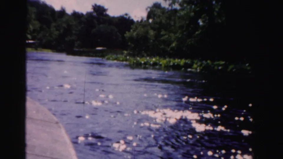 Dade County home-movie frame from a boat, with the bow at left and rippling water leading toward dense green trees.