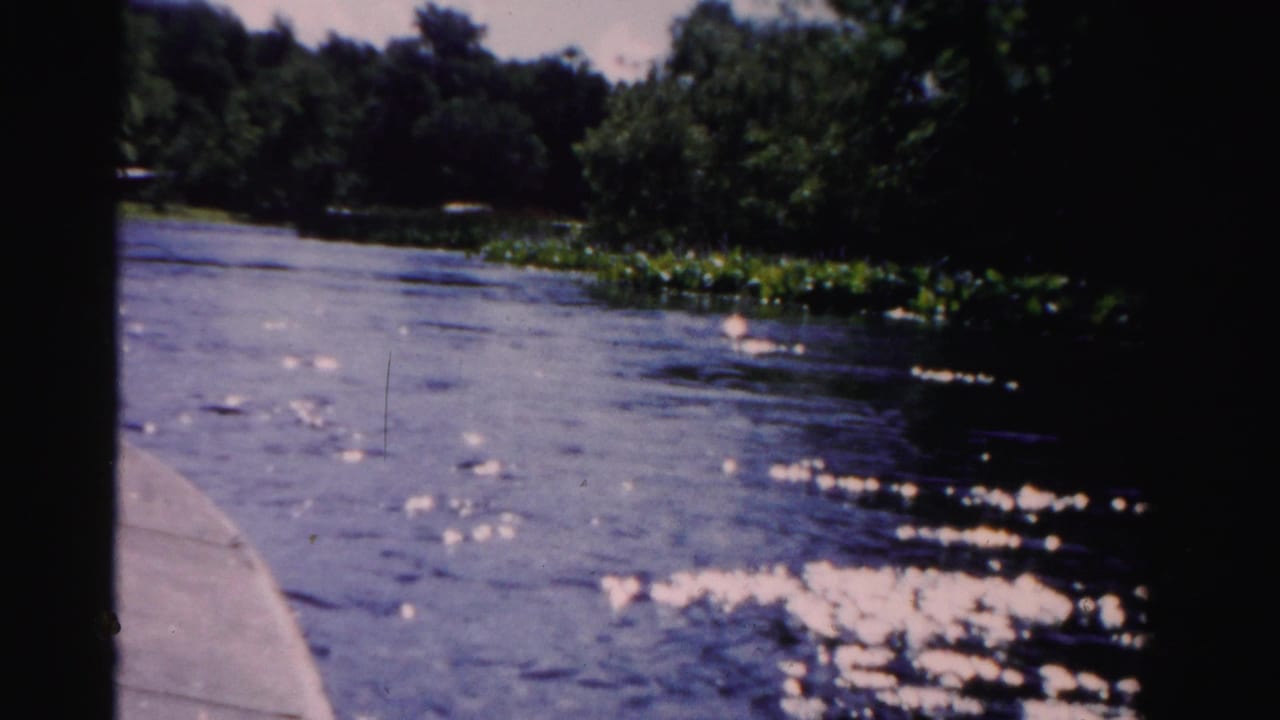 1955 Dade County 8mm frame showing a passenger view from a boat across rippling river water toward trees and floating vegetation.