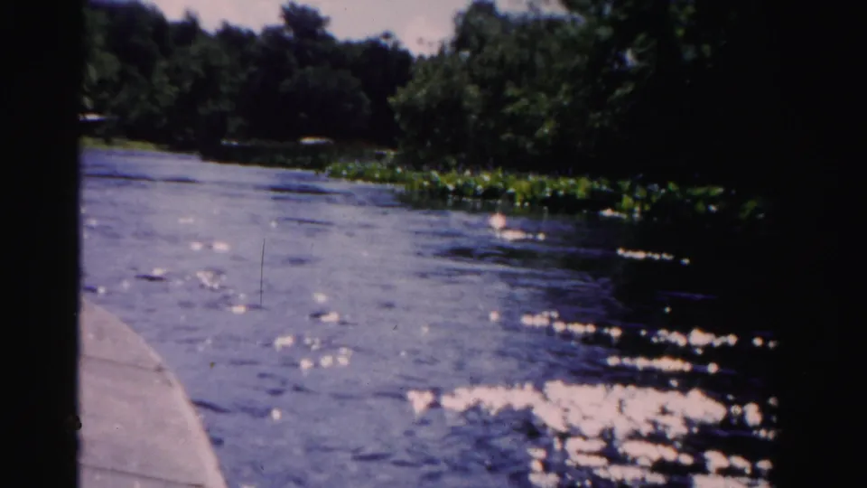 1955 Dade County 8mm frame showing a passenger view from a boat across rippling river water toward trees and floating vegetation.