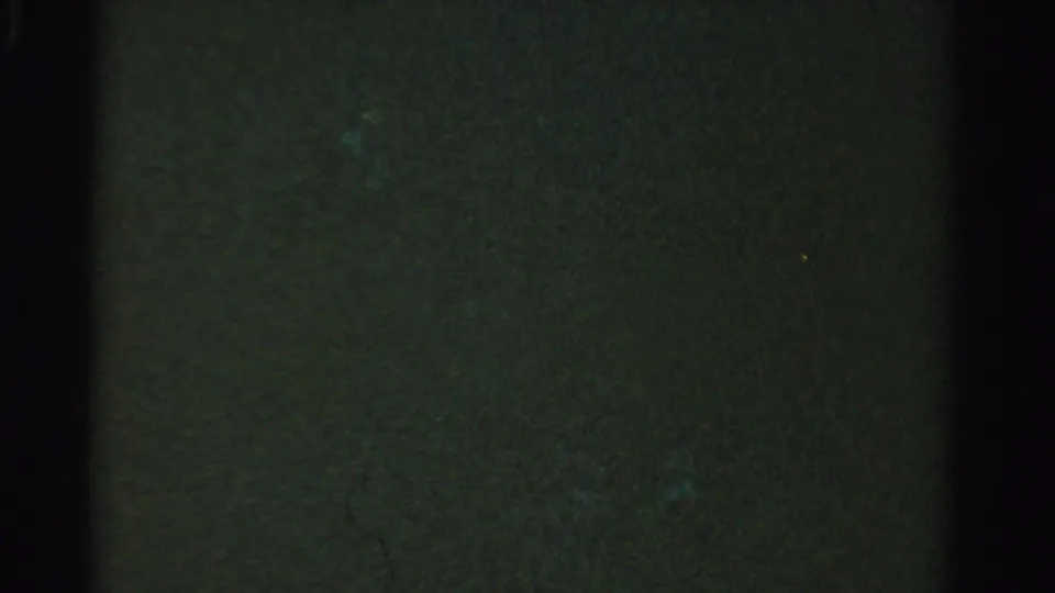 Underexposed 8mm frame from the Dade County lake clip, dominated by dark green-black grain with only faint tonal variation.