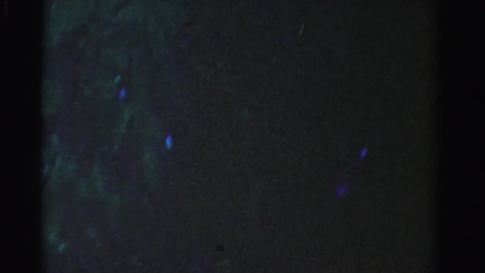 1955 Dade County 8mm frame showing dim underwater texture, faint blue-green points, and a dark vertical film edge.