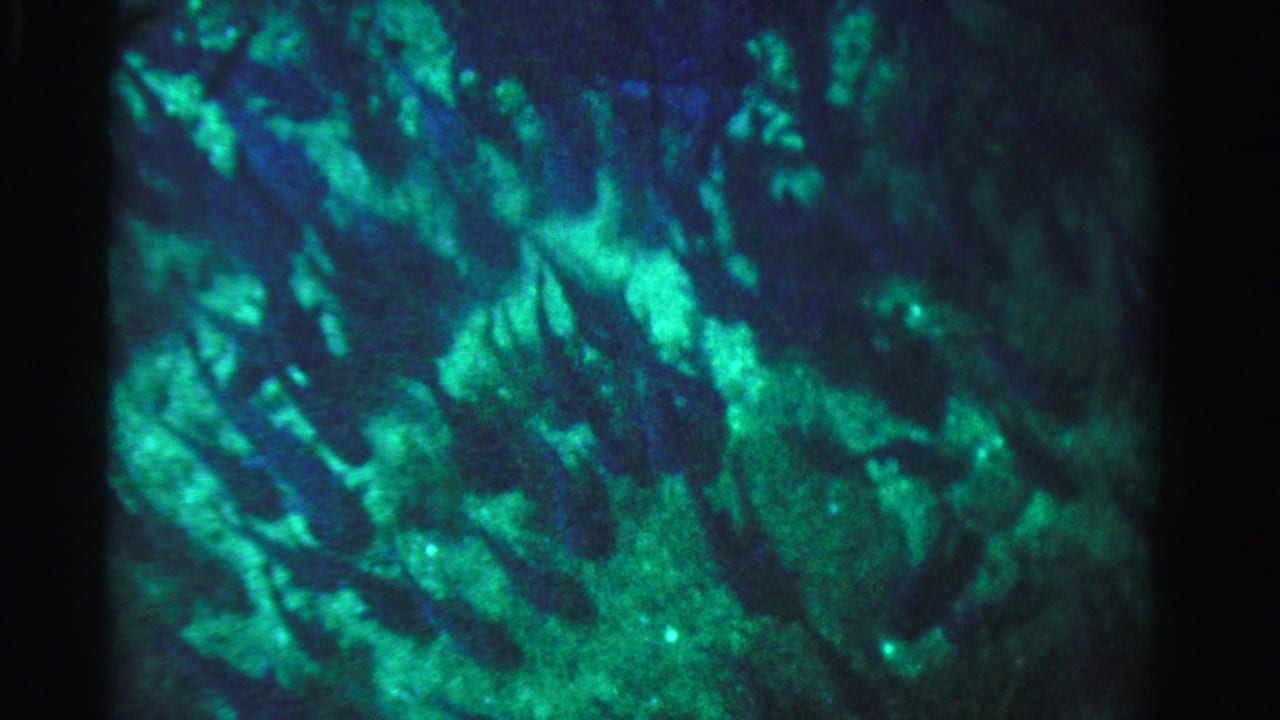 Glowing green-blue underwater texture with faint fish silhouettes and dark film edges.