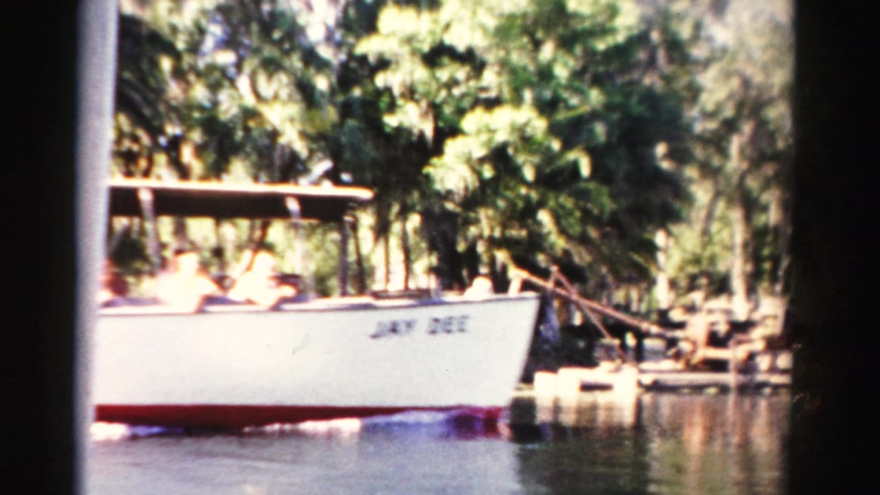 White open-sided tour boat on a palm-lined waterway with seated passengers visible.