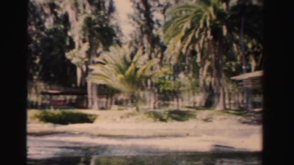 Palm-lined Florida shoreline appears from the river tour, with water in the foreground and dense tropical landscaping beyond.